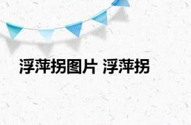 浮萍拐图片 浮萍拐 