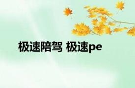 极速陪驾 极速pe 