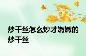 炒干丝怎么炒才嫩嫩的 炒干丝 