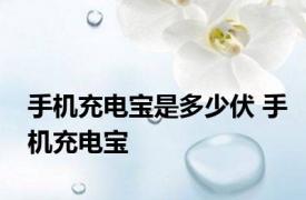 手机充电宝是多少伏 手机充电宝 