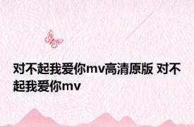 对不起我爱你mv高清原版 对不起我爱你mv 