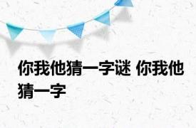 你我他猜一字谜 你我他猜一字 