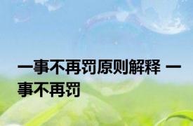 一事不再罚原则解释 一事不再罚 