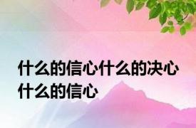 什么的信心什么的决心 什么的信心 