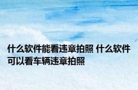 什么软件能看违章拍照 什么软件可以看车辆违章拍照
