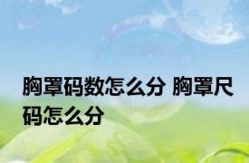胸罩码数怎么分 胸罩尺码怎么分 