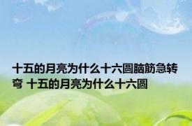 十五的月亮为什么十六圆脑筋急转弯 十五的月亮为什么十六圆 