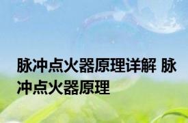 脉冲点火器原理详解 脉冲点火器原理