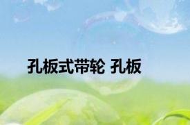 孔板式带轮 孔板 