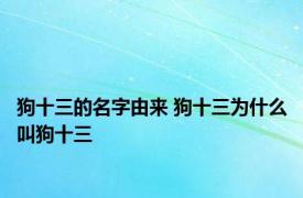 狗十三的名字由来 狗十三为什么叫狗十三 