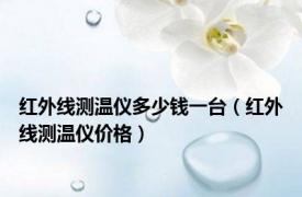 红外线测温仪多少钱一台（红外线测温仪价格）
