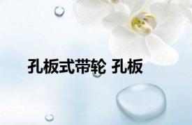 孔板式带轮 孔板 