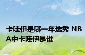 卡哇伊是哪一年选秀 NBA中卡哇伊是谁