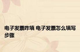 电子发票咋填 电子发票怎么填写步骤 