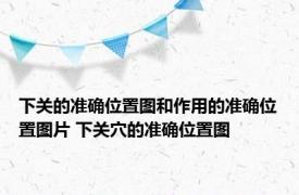 下关的准确位置图和作用的准确位置图片 下关穴的准确位置图 