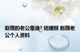 赵薇的老公是谁? 结婚照 赵薇老公个人资料 