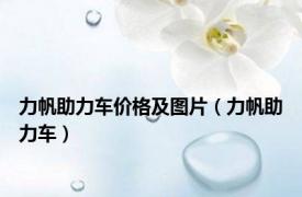 力帆助力车价格及图片（力帆助力车）