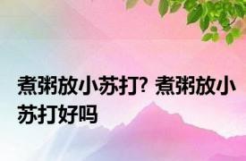煮粥放小苏打? 煮粥放小苏打好吗 