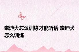 泰迪犬怎么训练才能听话 泰迪犬怎么训练 