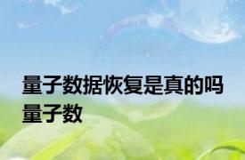 量子数据恢复是真的吗 量子数 