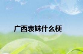 广西表妹什么梗