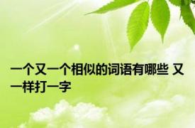 一个又一个相似的词语有哪些 又一样打一字 
