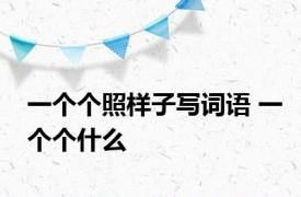 一个个照样子写词语 一个个什么 