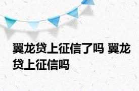 翼龙贷上征信了吗 翼龙贷上征信吗 