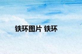 铁环图片 铁环 