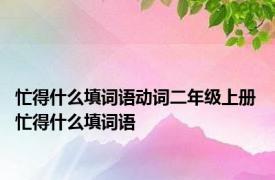 忙得什么填词语动词二年级上册 忙得什么填词语 