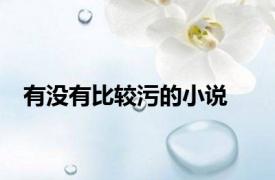 有没有比较污的小说
