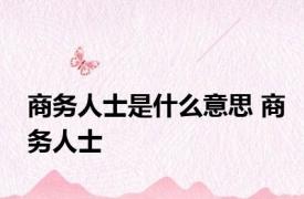 商务人士是什么意思 商务人士 