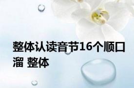 整体认读音节16个顺口溜 整体 