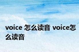 voice 怎么读音 voice怎么读音 