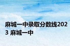 麻城一中录取分数线2023 麻城一中 