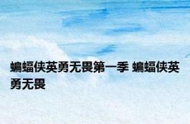 蝙蝠侠英勇无畏第一季 蝙蝠侠英勇无畏 