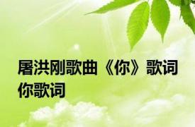 屠洪刚歌曲《你》歌词 你歌词 