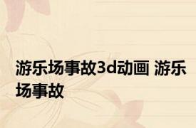 游乐场事故3d动画 游乐场事故 