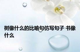 树像什么的比喻句仿写句子 书像什么 