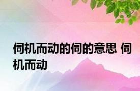 伺机而动的伺的意思 伺机而动 