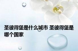 圣彼得堡是什么城市 圣彼得堡是哪个国家 