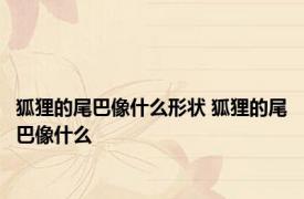 狐狸的尾巴像什么形状 狐狸的尾巴像什么 