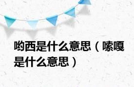哟西是什么意思（嗦嘎是什么意思）