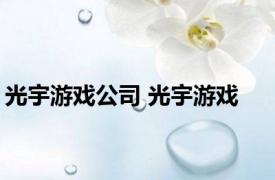 光宇游戏公司 光宇游戏 