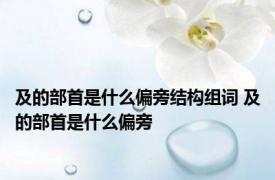 及的部首是什么偏旁结构组词 及的部首是什么偏旁 