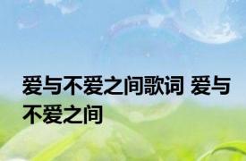爱与不爱之间歌词 爱与不爱之间 