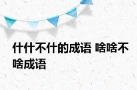 什什不什的成语 啥啥不啥成语 