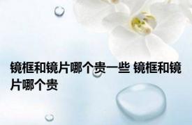 镜框和镜片哪个贵一些 镜框和镜片哪个贵 