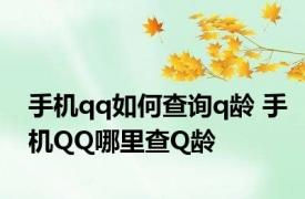 手机qq如何查询q龄 手机QQ哪里查Q龄