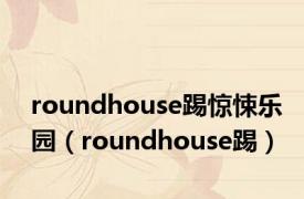 roundhouse踢惊悚乐园（roundhouse踢）